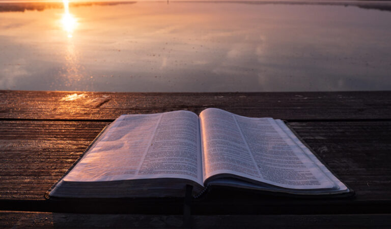 A photo of a Bible in the sunset. Seek first the Kingdom of God.